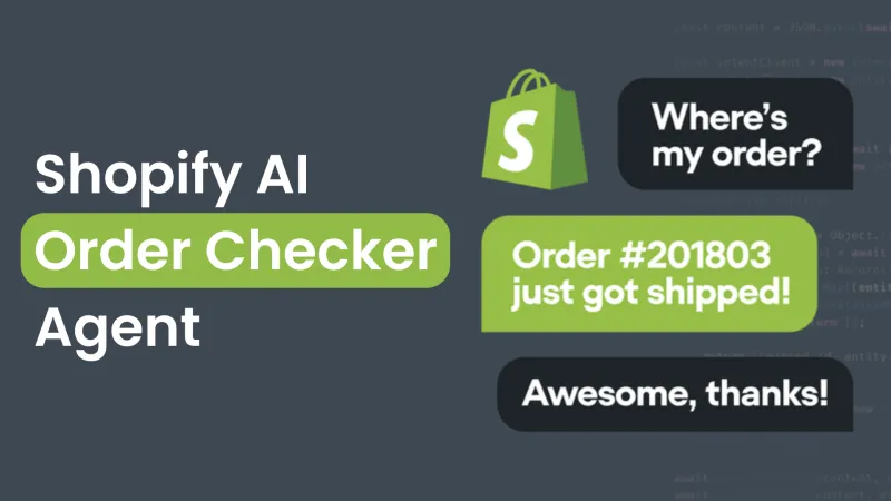 Shopify order-checking assistant project interface